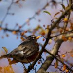 Steve Kanan 11/12/23 Steve Kanan 11/12/23