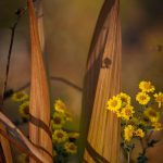 Steve Kanan - 11/19/23 Steve Kanan - 11/19/23