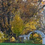 Steve Kanan - 11/19/23 Steve Kanan - 11/19/23