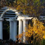 Steve Kanan - 11/19/23 Steve Kanan - 11/19/23