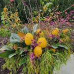 Quince Arrangement Quince Arrangement