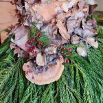 Festival of Trees 2024 Festival of Trees 2024