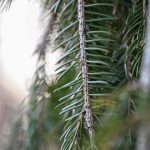 Katharine Boyle Dec 23, 2023 Katharine Boyle Dec 23, 2023