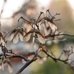 Katharine Boyle Dec 23, 2023 Katharine Boyle Dec 23, 2023