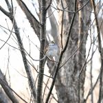 Katharine Boyle Dec 23, 2023 Katharine Boyle Dec 23, 2023