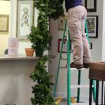 HEC Removing Decor