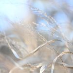 Katharine Boyle 2-4-24 Katharine Boyle 2-4-24