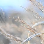 Katharine Boyle 2-4-24 Katharine Boyle 2-4-24