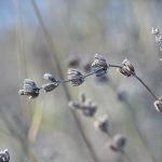 Katharine Boyle 2-4-24 Katharine Boyle 2-4-24