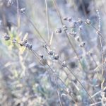 Katharine Boyle 2-4-24 Katharine Boyle 2-4-24