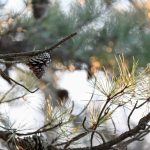 Katharine Boyle 2-4-24 Katharine Boyle 2-4-24