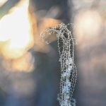 Katharine Boyle 2-4-24 Katharine Boyle 2-4-24