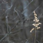 Katharine Boyle 2-4-24 Katharine Boyle 2-4-24