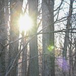 Katharine Boyle 2-4-24 Katharine Boyle 2-4-24