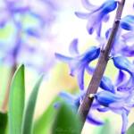 Katharine Boyle 3-18-24 Katharine Boyle 3-18-24