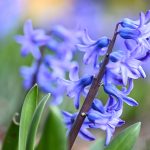 Katharine Boyle 3-18-24 Katharine Boyle 3-18-24