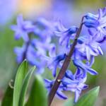 Katharine Boyle 3-18-24 Katharine Boyle 3-18-24