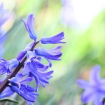 Katharine Boyle 3-18-24 Katharine Boyle 3-18-24