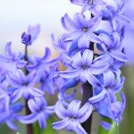 Katharine Boyle 3-18-24 Katharine Boyle 3-18-24