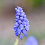 Katharine Boyle 3-18-24 Katharine Boyle 3-18-24