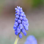 Katharine Boyle 3-18-24 Katharine Boyle 3-18-24