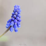 Katharine Boyle 3-18-24 Katharine Boyle 3-18-24