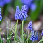 Katharine Boyle 3-18-24 Katharine Boyle 3-18-24