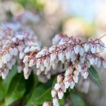 Katharine Boyle 3-18-24 Katharine Boyle 3-18-24