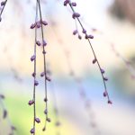 Katharine Boyle 3-18-24 Katharine Boyle 3-18-24