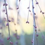 Katharine Boyle 3-18-24 Katharine Boyle 3-18-24