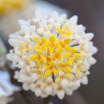 Katharine Boyle 3-18-24 Katharine Boyle 3-18-24