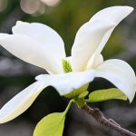 5 Atlantic 2024 Apr 15 from Katharine Boyle 5 Atlantic 2024 Apr 15 from Katharine Boyle