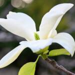 5 Atlantic 2024 Apr 15 from Katharine Boyle 5 Atlantic 2024 Apr 15 from Katharine Boyle