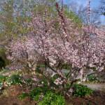 Steve Kanan - 4/14/24 Steve Kanan - 4/14/24