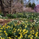 Steve Kanan - 4/14/24 Steve Kanan - 4/14/24