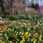 Steve Kanan - 4/14/24 Steve Kanan - 4/14/24