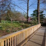 Steve Kanan - 4/14/24 Steve Kanan - 4/14/24