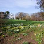 Steve Kanan - 4/14/24 Steve Kanan - 4/14/24