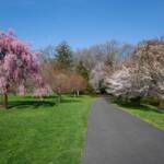 Steve Kanan - 4/14/24 Steve Kanan - 4/14/24