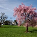 Steve Kanan - 4/14/24 Steve Kanan - 4/14/24