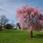 Steve Kanan - 4/14/24 Steve Kanan - 4/14/24