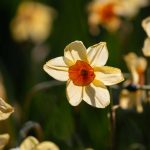 Steve Kanan - 4-20-24 Steve Kanan - 4-20-24