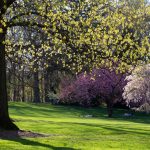 Steve Kanan - 4-20-24 Steve Kanan - 4-20-24