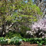 Elizabeth Brannin - 4-23-24 Elizabeth Brannin - 4-23-24