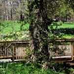 Elizabeth Brannin - 4-23-24 Elizabeth Brannin - 4-23-24