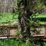 Elizabeth Brannin - 4-23-24 Elizabeth Brannin - 4-23-24