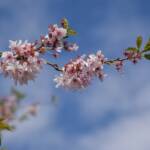 Elizabeth Brannin - 4-23-24 Elizabeth Brannin - 4-23-24