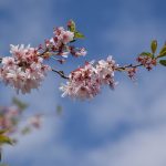 Elizabeth Brannin - 4-23-24 Elizabeth Brannin - 4-23-24