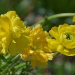 Elizabeth Brannin - 4-23-24 Elizabeth Brannin - 4-23-24