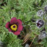 Elizabeth Brannin - 4-23-24 Elizabeth Brannin - 4-23-24